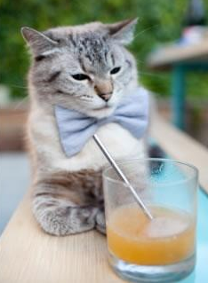 fb体育登录入口-边裁是否应使用更多智能设备辅助判罚，边裁和裁判是什么关系