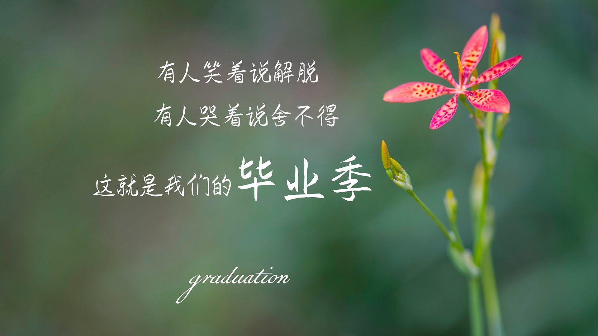 边路传中是否被快速渗透战术边缘化,边路进攻的战术配合基本方法