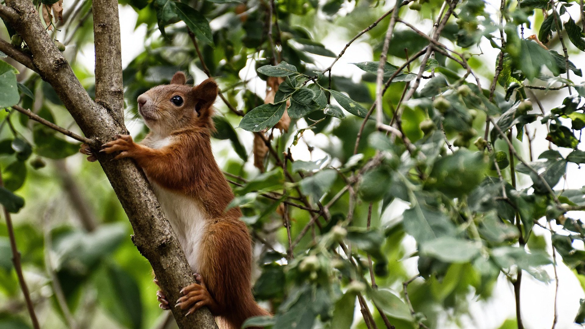 fb体育官网-边路换位是否提高了整场控球比例，边路换位是否提高了整场控球比例的方法