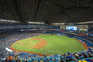 fb体育平台官网-世界击剑锦标赛中国女花首次进四强，击剑世界冠军女