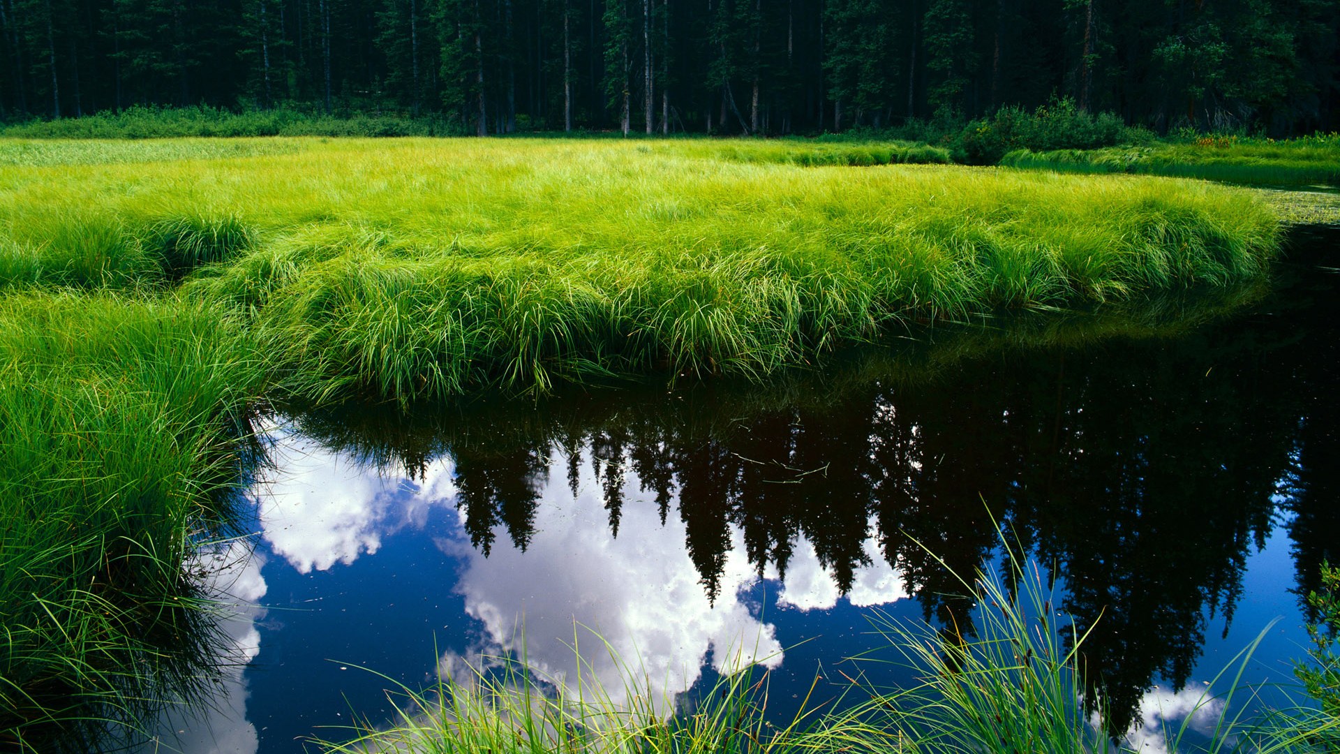 fb体育登录入口-农村地区体育设施使用率评估与提升策略，农村地区体育设施使用率评估与提升策略研究