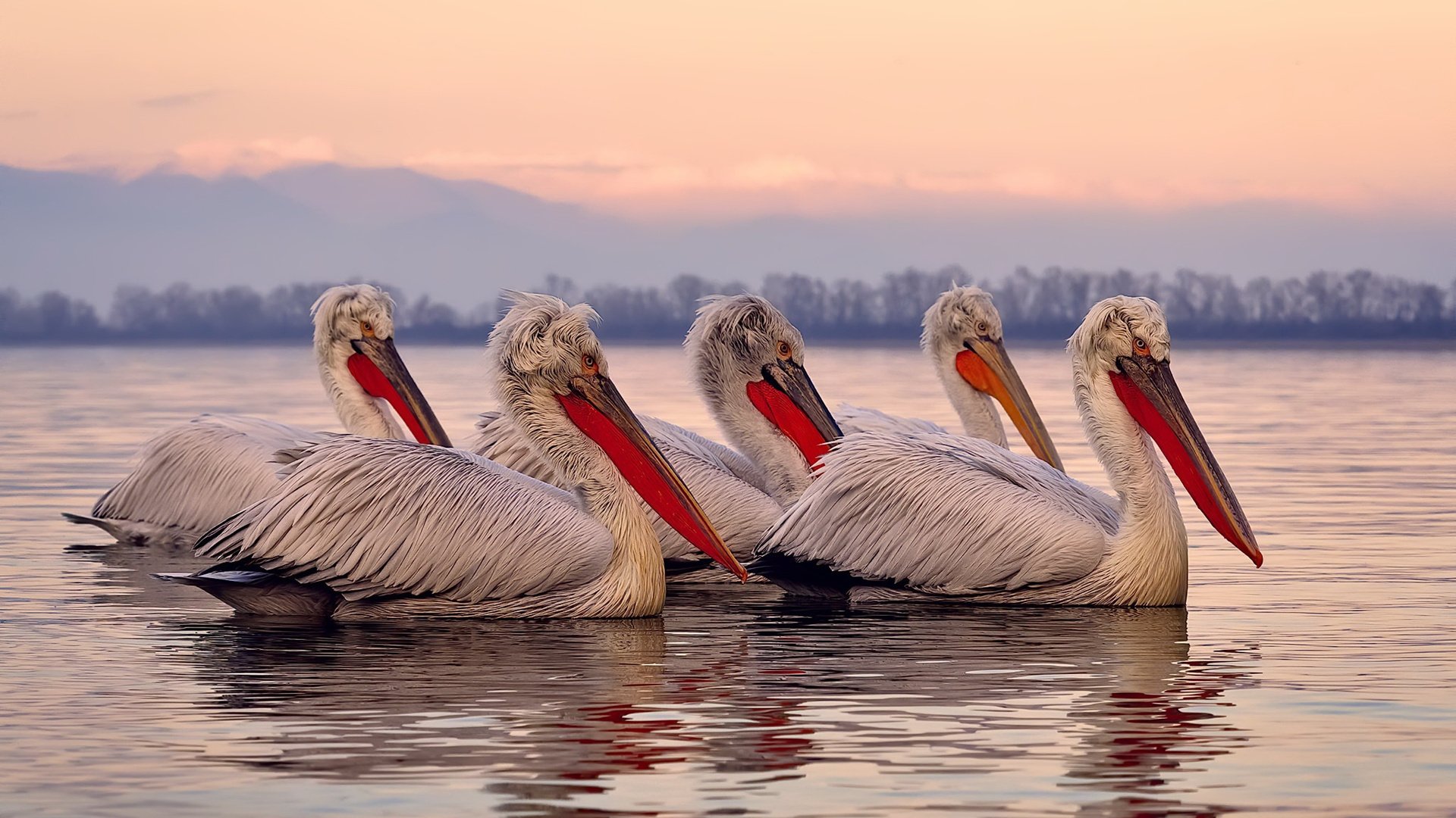 fb体育平台-中国女篮通过模拟实战增强临场反应力，中国女篮真棒