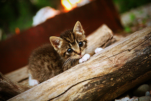 fb体育网页版-压迫阵型推前，前锋积极回抢，前锋怎么压迫