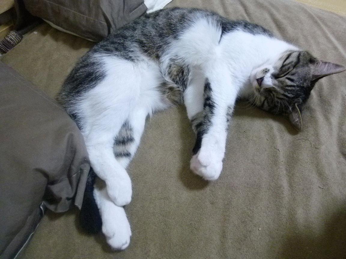 FB体育在线-姆巴佩赛后表达重整旗鼓决心，姆巴佩表态