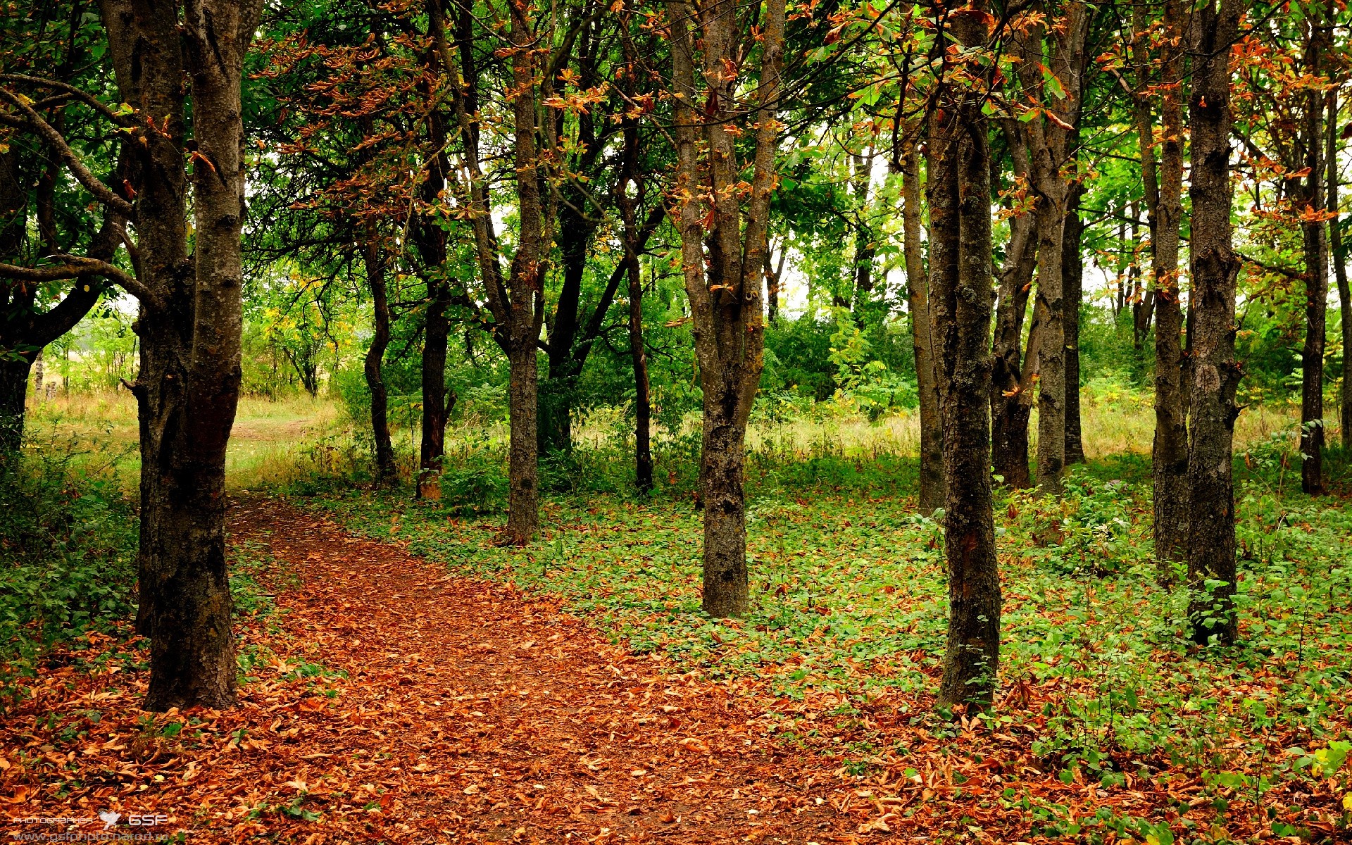 fb体育试玩-中国足球职业联赛优化比赛节奏提升观赏性，中国足球职业联赛体系