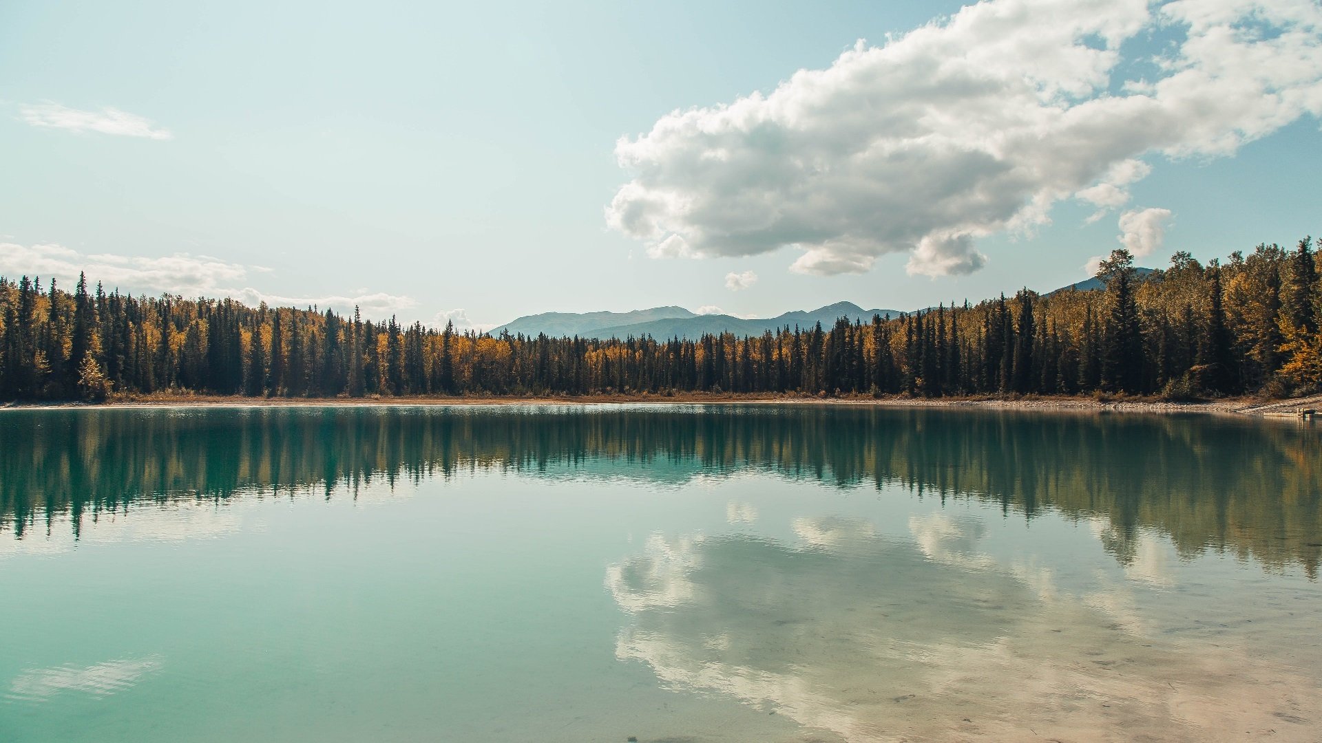 fb体育赛事平台-意大利爆冷击败世界冠军德国，意大利爆冷击败世界冠军德国球员
