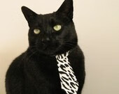 fb体育登录入口-水球比赛比利时女队拼搏精神可嘉，女子水球比赛结果